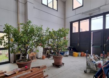 20250116_110932.jpg - Commercial Premises Via Paul-Henry Spaak 6, Parma - photo 6