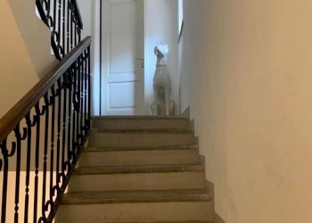 IMG-20250415-WA0008.jpg - Apartment Via Trieste 14, Carpaneto Piacentino - photo 5