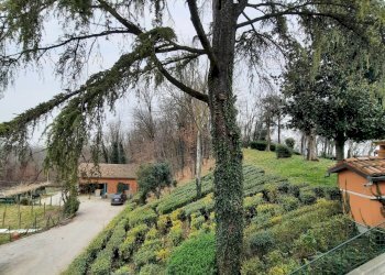 20250219_161228.jpg - Villa Castell'Arquato - photo 6