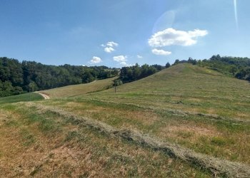 podere Montecorone (16).jpg - Rustic Via Calizzano 803, Zocca - photo 4