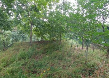 Montecorone (7).jpg - Porzione di casa Via Castello 35, Zocca - foto 7