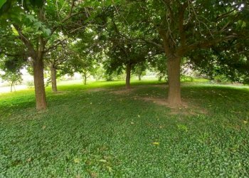 villa cittanova (13).jpg - Villa Stradello Giovanardi 95, Modena - foto 4