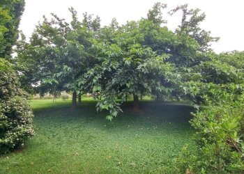 villa cittanova (14).jpg - Villa Stradello Giovanardi 95, Modena - foto 5