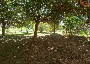 VILLA CITTANOVA (7).jpg - Villa Stradello Giovanardi 95, Modena - foto 11