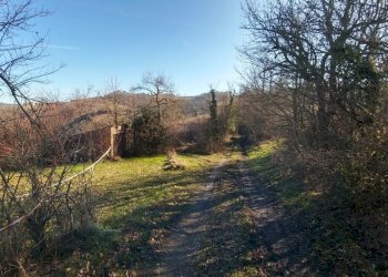podere Savigno (10).jpg - Rustico Via della Pace 4, Valsamoggia - foto 11