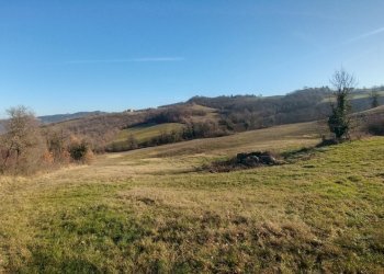 podere Savigno (11).jpg - Rustico Via della Pace 4, Valsamoggia - foto 12