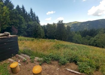 BAITA_FANANO (26).jpg - Rustico Via Cà Zucchi 1294, Fanano - foto 26