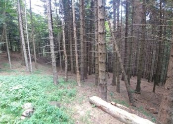 BAITA_FANANO (28).jpg - Rustico Via Cà Zucchi 1294, Fanano - foto 28