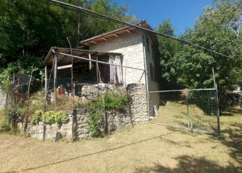 Poderino_Zocca (4).jpg - Rustic mauro tesi 112, Zocca - photo 4