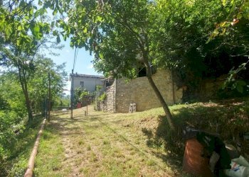 Poderino_Zocca (6).jpg - Rustic mauro tesi 112, Zocca - photo 6