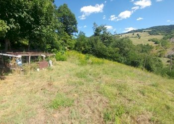 Poderino_Zocca (8).jpg - Rustic mauro tesi 112, Zocca - photo 8