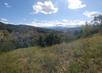 Poderino_Zocca (10).jpg - Rustic mauro tesi 112, Zocca - photo 10