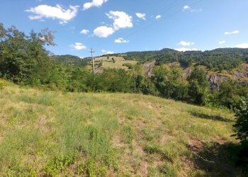 Poderino_Zocca (11).jpg - Rustic mauro tesi 112, Zocca - photo 11