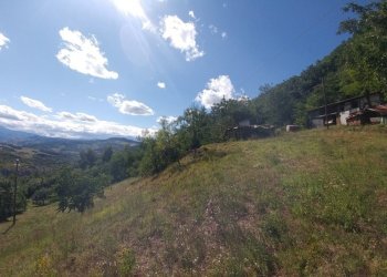 Poderino_Zocca (12).jpg - Rustic mauro tesi 112, Zocca - photo 12