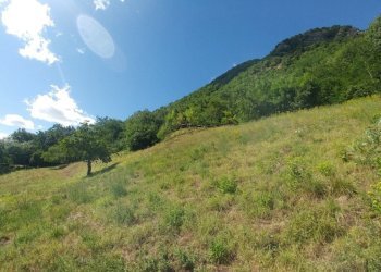 Poderino_Zocca (13).jpg - Rustic mauro tesi 112, Zocca - photo 13