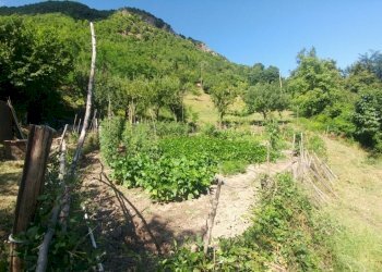 Poderino_Zocca (14).jpg - Rustic mauro tesi 112, Zocca - photo 14