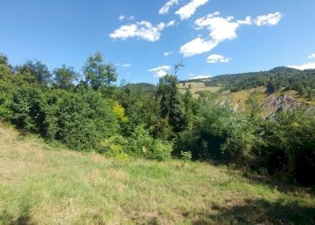 Poderino_Zocca (15).jpg - Rustic mauro tesi 112, Zocca - photo 15