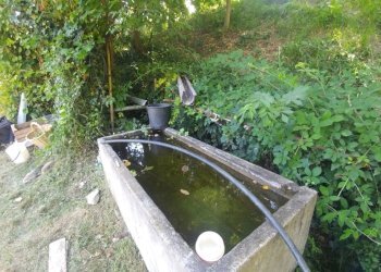 Poderino_Zocca (18).jpg - Rustic mauro tesi 112, Zocca - photo 18