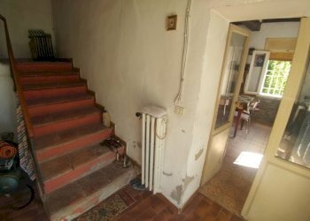 Poderino_Zocca (20).jpg - Rustic mauro tesi 112, Zocca - photo 20