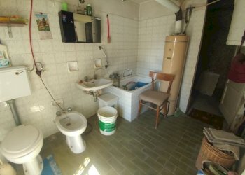 Poderino_Zocca (22).jpg - Rustic mauro tesi 112, Zocca - photo 22