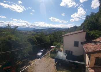 Poderino_Zocca (27).jpg - Rustic mauro tesi 112, Zocca - photo 27