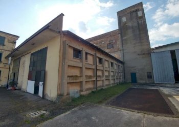 novellara (6).jpg - Locale Commerciale Novellara - foto 6