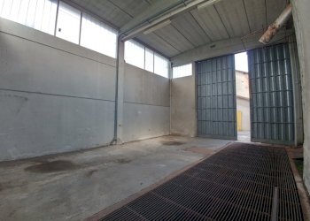 novellara (12).jpg - Locale Commerciale Novellara - foto 12