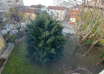 villino_ZOCCA_paese (12).jpg - Villa Via Giuseppe Mazzini 42, Zocca - foto 15