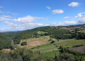 21b3a963-9933-44d8-8d47-8c2c6a7a9897.jpeg - Townhouse Via Del Mortaro 9, Amelia - photo 10