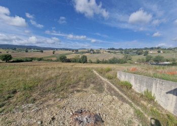 20250914_100924.jpg - Casale Vocabolo San Quirico, Avigliano Umbro - foto 10