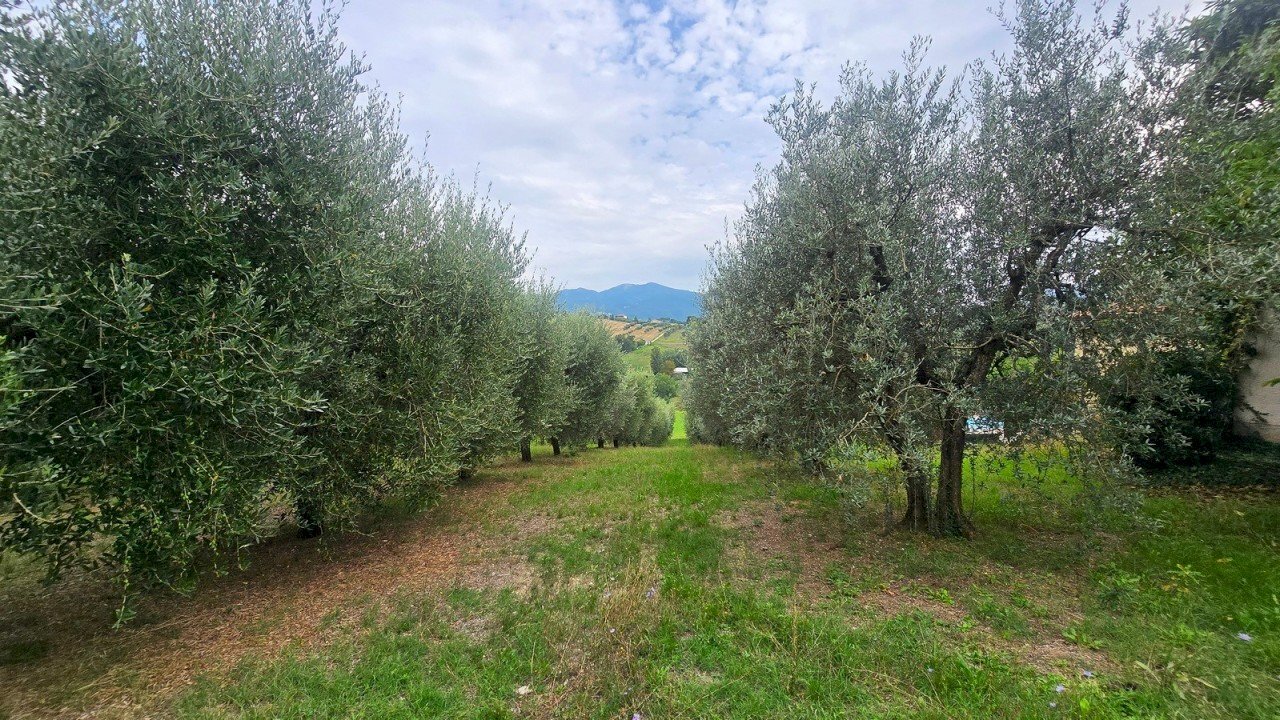 refugio panoramico (6).jpg - Porzione di casa Strada di Porcilvalle 88, Terni - foto 3