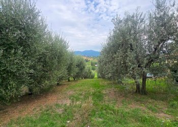 refugio panoramico (6).jpg - Porzione di casa Strada di Porcilvalle 88, Terni - foto 3