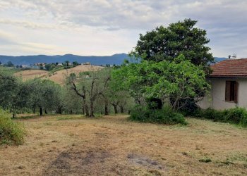 land (3).jpg - Porzione di casa Strada di Porcilvalle 88, Terni - foto 12