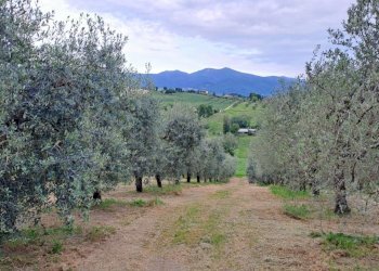 land (1).jpg - Porzione di casa Strada di Porcilvalle 88, Terni - foto 15