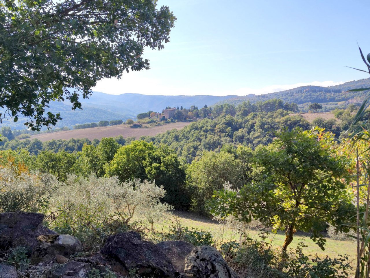 canonica-todi-countryside2.jpg - Villa Località canonica 1, Todi - photo 1