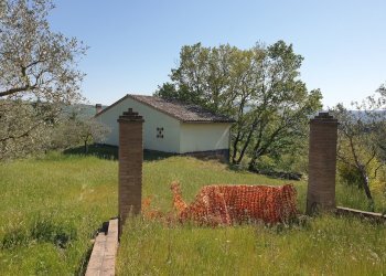 20220429_155030.jpg - Villa Località canonica 1, Todi - foto 4