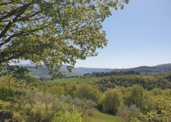 20220429_154848.jpg - Villa Località canonica 1, Todi - foto 8