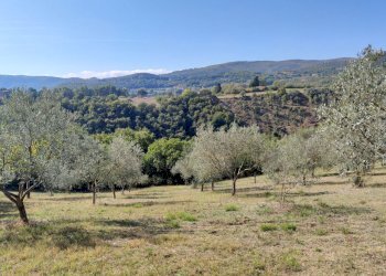 canonica-todi-countryside.jpg - Villa Località canonica 1, Todi - foto 9