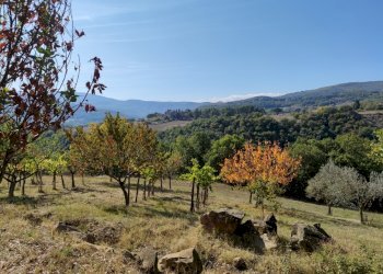 IMG_20211020_125352.jpg - Villa Località canonica 1, Todi - foto 11