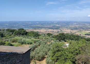 IMG_20230801_102059.jpg - Terratetto - Terracielo Via Dante Alghieri 35, Guardea - foto 15