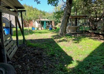 a996e7f1-a3c8-4f44-92d0-a2d7a3aba0ce.jpeg - Terratetto - Terracielo Frazione Frattuccia 22, Guardea - foto 16