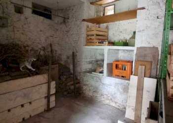 IMG-20250811-WA0024.jpg - Appartamento VIA PASUBIO, Avigliano Umbro - foto 17