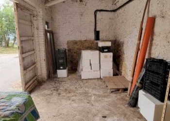 IMG-20250811-WA0030.jpg - Appartamento VIA PASUBIO, Avigliano Umbro - foto 18