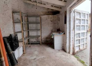 IMG-20250811-WA0031.jpg - Appartamento VIA PASUBIO, Avigliano Umbro - foto 19