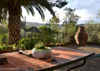 20250314_193450.jpg - Terratetto - Terracielo viale trento e trieste 3, Castiglione in Teverina - foto 4