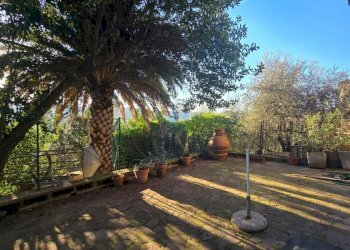 20250305_165654.jpg - Terratetto - Terracielo viale trento e trieste 3, Castiglione in Teverina - foto 6