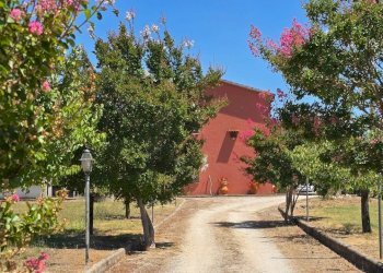 casale umbria01.jpg - Casale Strada Bonifica 150, Montecchio - foto 2