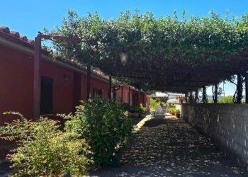 pergola.jpg - Casale Strada Bonifica 150, Montecchio - foto 10