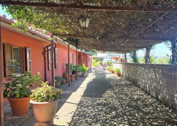 pergola01.jpg - Casale Strada Bonifica 150, Montecchio - foto 11