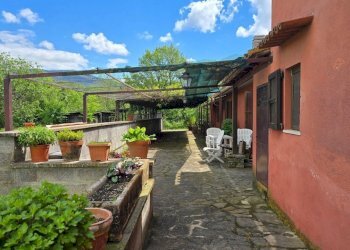 pergola03.jpg - Casale Strada Bonifica 150, Montecchio - foto 13